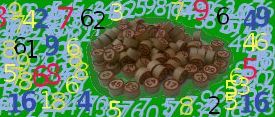 I numeri escono secondo le leggi del caso